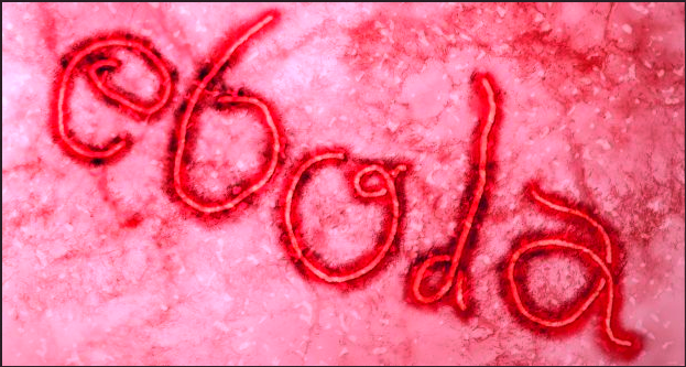 A Look at Deadly Ebola Symptoms