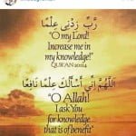 28A4B3C500000578-3080683-image-a-11_1431560833721