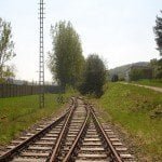 2999989700000578-3123296-image-a-49_1434258233560