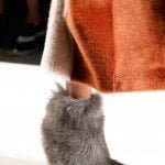 Fendi-fall-2015-7-683×1024