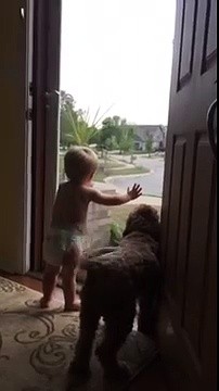 Toddler and dog – Daddy’s home!