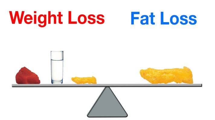 lose fat not weight