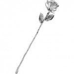 Platinum Rose