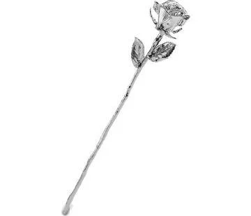 Platinum Rose