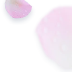 spa-01