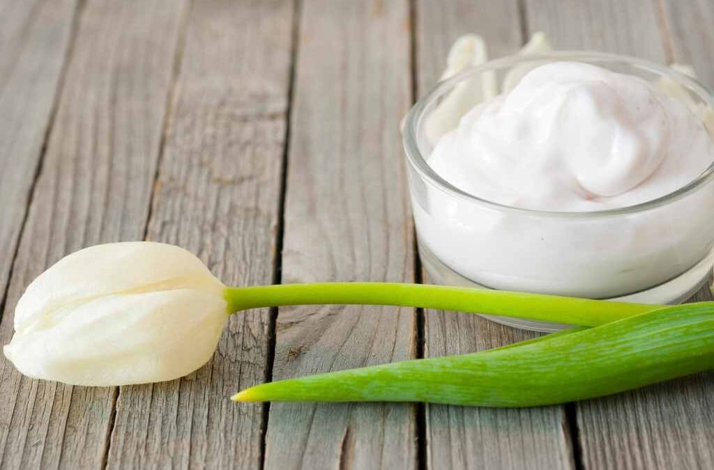 Diy Daily Home Made Face Moisturizer