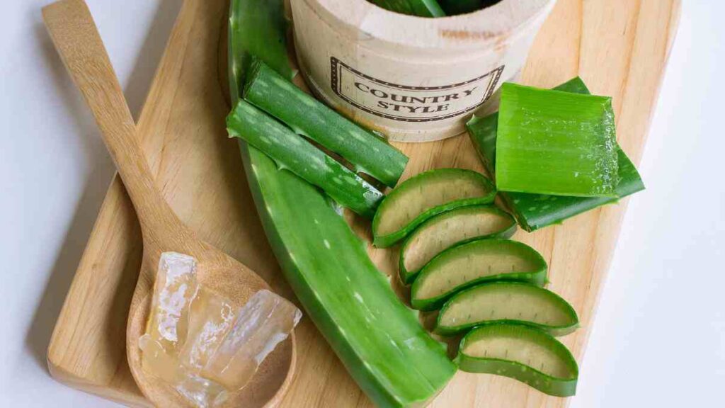 Aloe vera - what natural ingredients are good for your skin