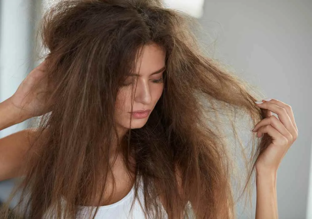 What is the Best Homemade Protein Treatment for Hair? What is the Best Homemade Protein Treatment for Hair 1