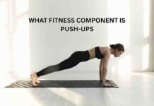 what fitness component is push-ups