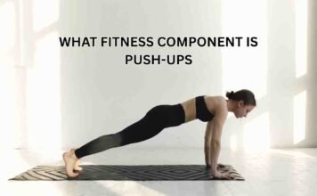 what fitness component is push-ups
