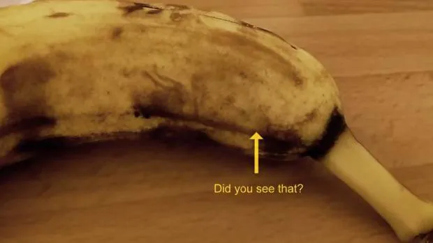Horror banana