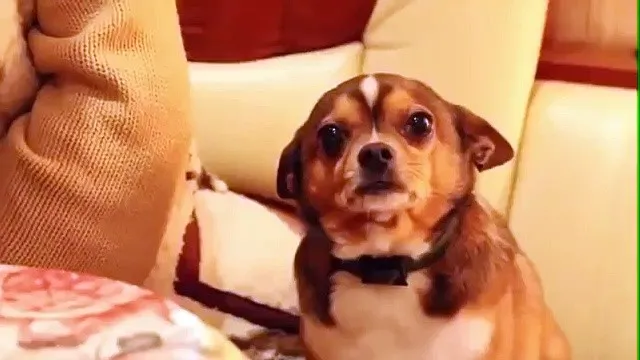 VlsrMt2ze
