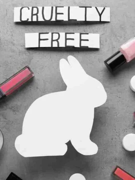 Cruelty-Free Makeup Products of 2023