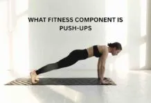 what fitness component is push-ups